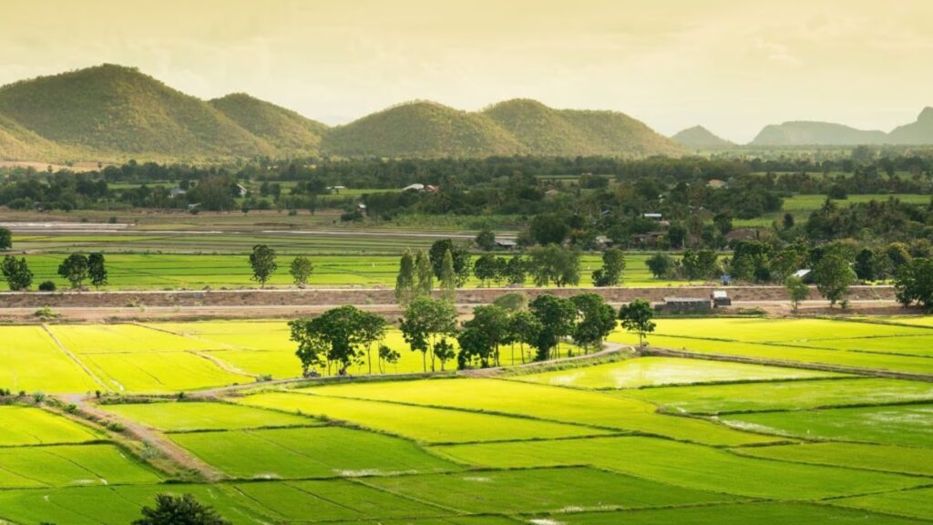 India Digitizes Land Records in 19 States