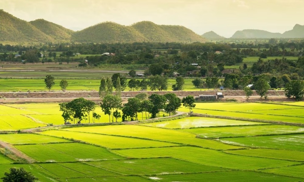 India Digitizes Land Records in 19 States
